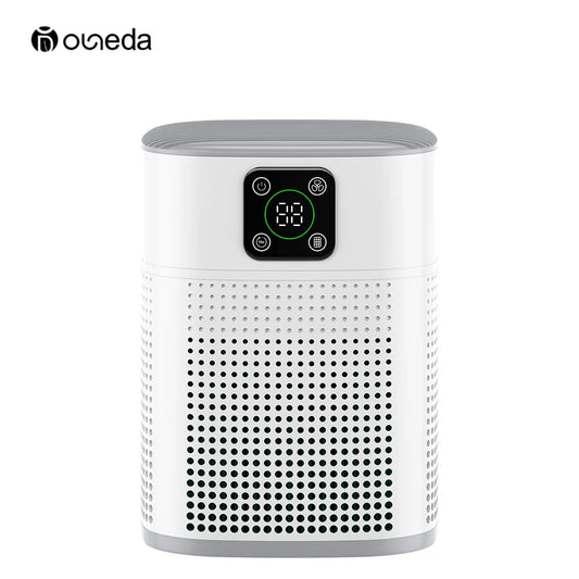 HomePro Air Purifier: Ultra Quiet With H13 HEPA & Carbon Filters